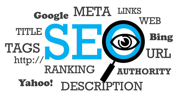 SEO Training Courses